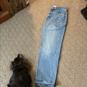 LOFT Light Blue Straight Leg Jeans with Embellishments